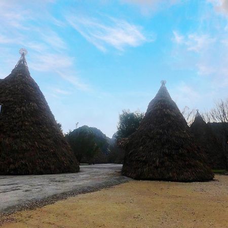 Truong Son Luxury Homestay Ninh Binh Esterno foto
